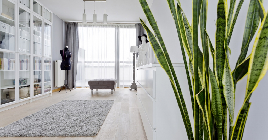 piante-da-interno-qualita-aria-indoor